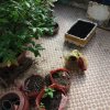 20170527_075747.jpg