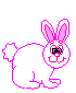 jivotniea-3725.gif