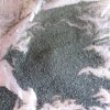 20170528_093717.jpg
