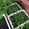 20170601_065155.jpg