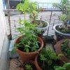 20170601_071110.jpg