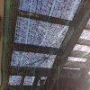 20170601_072404.jpg