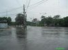 mưa chiều.jpeg