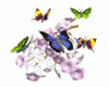 1304345609.gif