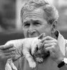 Bush.jpg
