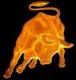 nhocshock