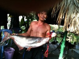 HANH PHUC DON SO