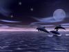 Dreams