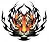 khanh_tiger