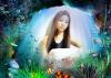 amyhoang