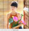 Hạ Long