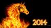 tvd2014