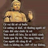 maihoangson