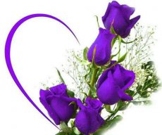 Mynhi