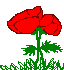 Ƹ̵̡Ӝ̵̨̄Ʒ ♥ BƯỚM