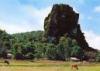 thachdong