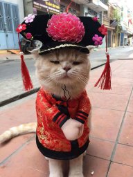 Tuệ Lâm