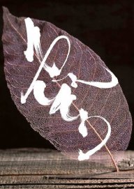 TTin_93