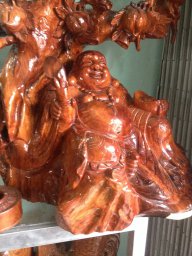 Đạo Quan Chiếu Phúc