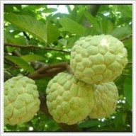 Quý Hợi Làm Giàu