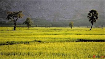 Vui chơi đừng sa ngã