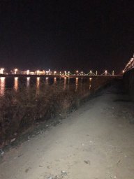 quynh1368