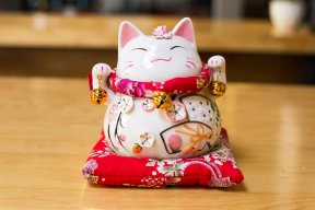Vận may đã đến rồi