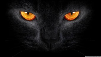 Meoden18