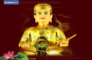 Xin cô thương