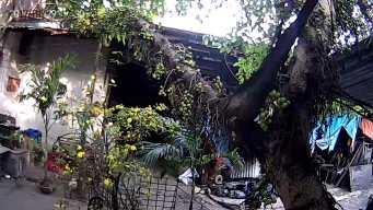 Thần tài đến rồi