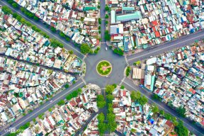 Ngủ để mơ