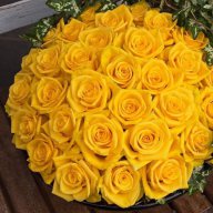 Mong luôn may mắn