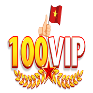 100vipinfo