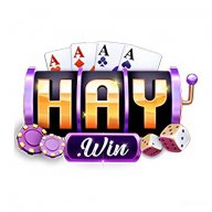 3haywininfo