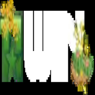 11winpub