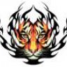 khanh_tiger