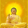 nguyenthientai