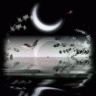New Moon