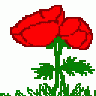 Ƹ̵̡Ӝ̵̨̄Ʒ ♥ BƯỚM