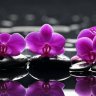 ThuHang79