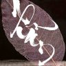 TTin_93