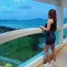 Phoenix_tran