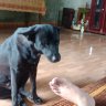 Grab_ My jobs