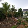 Song Ngư 8899