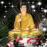 Diễn Đàn