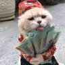 Chiến Thần Số Học
