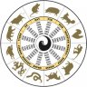Hoa Vô Sắc