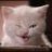 Pussy Cat