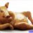 Naked