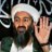 Bin Laden